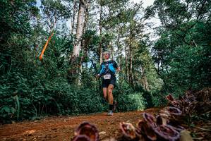 BIB: 
                            <button type="button" onclick="openModal(25880484)" class="btn btn-primary btn-sm float-right btn-popup" data-toggle="modal" data-target=".modal-high-quality">
                        <i class="fas fa-shopping-cart"></i> Add to Cart
                    </button>
                                            <button type="button" onclick="isThisMe(25880484, true)" class="btn btn-success btn-sm float-right btn-popup btn-isme hidden" data-toggle="tooltip" data-placement="bottom" title="นี่คือรูปของคุณใช่ไหม คลิกที่นี่เพื่อเอาเข้าอัลบั้ม">
                        <i class="fas fa-plus"></i> Add to album
                    </button>
                    <button type="button" onclick="isThisMe(25880484, false)" class="btn btn-warning btn-sm float-right btn-popup btn-isnotme hidden">
                        <i class="fas fa-ban"></i> Remove from album
                    </button>