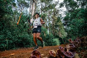 BIB: 
                            <button type="button" onclick="openModal(25880456)" class="btn btn-primary btn-sm float-right btn-popup" data-toggle="modal" data-target=".modal-high-quality">
                        <i class="fas fa-shopping-cart"></i> Add to Cart
                    </button>
                                            <button type="button" onclick="isThisMe(25880456, true)" class="btn btn-success btn-sm float-right btn-popup btn-isme hidden" data-toggle="tooltip" data-placement="bottom" title="นี่คือรูปของคุณใช่ไหม คลิกที่นี่เพื่อเอาเข้าอัลบั้ม">
                        <i class="fas fa-plus"></i> Add to album
                    </button>
                    <button type="button" onclick="isThisMe(25880456, false)" class="btn btn-warning btn-sm float-right btn-popup btn-isnotme hidden">
                        <i class="fas fa-ban"></i> Remove from album
                    </button>