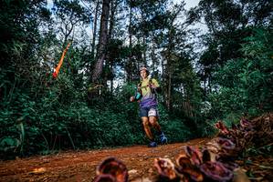 BIB: 
                            <button type="button" onclick="openModal(25881640)" class="btn btn-primary btn-sm float-right btn-popup" data-toggle="modal" data-target=".modal-high-quality">
                        <i class="fas fa-shopping-cart"></i> Add to Cart
                    </button>
                                            <button type="button" onclick="isThisMe(25881640, true)" class="btn btn-success btn-sm float-right btn-popup btn-isme hidden" data-toggle="tooltip" data-placement="bottom" title="นี่คือรูปของคุณใช่ไหม คลิกที่นี่เพื่อเอาเข้าอัลบั้ม">
                        <i class="fas fa-plus"></i> Add to album
                    </button>
                    <button type="button" onclick="isThisMe(25881640, false)" class="btn btn-warning btn-sm float-right btn-popup btn-isnotme hidden">
                        <i class="fas fa-ban"></i> Remove from album
                    </button>