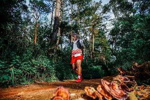 BIB: 
                            <button type="button" onclick="openModal(25882288)" class="btn btn-primary btn-sm float-right btn-popup" data-toggle="modal" data-target=".modal-high-quality">
                        <i class="fas fa-shopping-cart"></i> Add to Cart
                    </button>
                                            <button type="button" onclick="isThisMe(25882288, true)" class="btn btn-success btn-sm float-right btn-popup btn-isme hidden" data-toggle="tooltip" data-placement="bottom" title="นี่คือรูปของคุณใช่ไหม คลิกที่นี่เพื่อเอาเข้าอัลบั้ม">
                        <i class="fas fa-plus"></i> Add to album
                    </button>
                    <button type="button" onclick="isThisMe(25882288, false)" class="btn btn-warning btn-sm float-right btn-popup btn-isnotme hidden">
                        <i class="fas fa-ban"></i> Remove from album
                    </button>