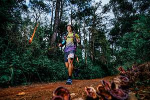 BIB: 
                            <button type="button" onclick="openModal(25881646)" class="btn btn-primary btn-sm float-right btn-popup" data-toggle="modal" data-target=".modal-high-quality">
                        <i class="fas fa-shopping-cart"></i> Add to Cart
                    </button>
                                            <button type="button" onclick="isThisMe(25881646, true)" class="btn btn-success btn-sm float-right btn-popup btn-isme hidden" data-toggle="tooltip" data-placement="bottom" title="นี่คือรูปของคุณใช่ไหม คลิกที่นี่เพื่อเอาเข้าอัลบั้ม">
                        <i class="fas fa-plus"></i> Add to album
                    </button>
                    <button type="button" onclick="isThisMe(25881646, false)" class="btn btn-warning btn-sm float-right btn-popup btn-isnotme hidden">
                        <i class="fas fa-ban"></i> Remove from album
                    </button>