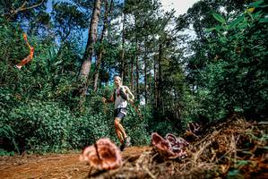 BIB: 
                            <button type="button" onclick="openModal(25878191)" class="btn btn-primary btn-sm float-right btn-popup" data-toggle="modal" data-target=".modal-high-quality">
                        <i class="fas fa-shopping-cart"></i> Add to Cart
                    </button>
                                            <button type="button" onclick="isThisMe(25878191, true)" class="btn btn-success btn-sm float-right btn-popup btn-isme hidden" data-toggle="tooltip" data-placement="bottom" title="นี่คือรูปของคุณใช่ไหม คลิกที่นี่เพื่อเอาเข้าอัลบั้ม">
                        <i class="fas fa-plus"></i> Add to album
                    </button>
                    <button type="button" onclick="isThisMe(25878191, false)" class="btn btn-warning btn-sm float-right btn-popup btn-isnotme hidden">
                        <i class="fas fa-ban"></i> Remove from album
                    </button>