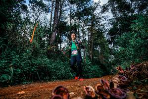 BIB: 
                            <button type="button" onclick="openModal(25881634)" class="btn btn-primary btn-sm float-right btn-popup" data-toggle="modal" data-target=".modal-high-quality">
                        <i class="fas fa-shopping-cart"></i> Add to Cart
                    </button>
                                            <button type="button" onclick="isThisMe(25881634, true)" class="btn btn-success btn-sm float-right btn-popup btn-isme hidden" data-toggle="tooltip" data-placement="bottom" title="นี่คือรูปของคุณใช่ไหม คลิกที่นี่เพื่อเอาเข้าอัลบั้ม">
                        <i class="fas fa-plus"></i> Add to album
                    </button>
                    <button type="button" onclick="isThisMe(25881634, false)" class="btn btn-warning btn-sm float-right btn-popup btn-isnotme hidden">
                        <i class="fas fa-ban"></i> Remove from album
                    </button>