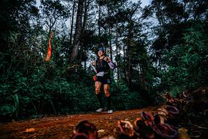 BIB: 
                            <button type="button" onclick="openModal(25881943)" class="btn btn-primary btn-sm float-right btn-popup" data-toggle="modal" data-target=".modal-high-quality">
                        <i class="fas fa-shopping-cart"></i> Add to Cart
                    </button>
                                            <button type="button" onclick="isThisMe(25881943, true)" class="btn btn-success btn-sm float-right btn-popup btn-isme hidden" data-toggle="tooltip" data-placement="bottom" title="นี่คือรูปของคุณใช่ไหม คลิกที่นี่เพื่อเอาเข้าอัลบั้ม">
                        <i class="fas fa-plus"></i> Add to album
                    </button>
                    <button type="button" onclick="isThisMe(25881943, false)" class="btn btn-warning btn-sm float-right btn-popup btn-isnotme hidden">
                        <i class="fas fa-ban"></i> Remove from album
                    </button>