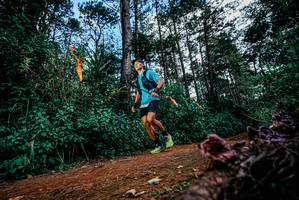 BIB: 
                            <button type="button" onclick="openModal(25878240)" class="btn btn-primary btn-sm float-right btn-popup" data-toggle="modal" data-target=".modal-high-quality">
                        <i class="fas fa-shopping-cart"></i> Add to Cart
                    </button>
                                            <button type="button" onclick="isThisMe(25878240, true)" class="btn btn-success btn-sm float-right btn-popup btn-isme hidden" data-toggle="tooltip" data-placement="bottom" title="นี่คือรูปของคุณใช่ไหม คลิกที่นี่เพื่อเอาเข้าอัลบั้ม">
                        <i class="fas fa-plus"></i> Add to album
                    </button>
                    <button type="button" onclick="isThisMe(25878240, false)" class="btn btn-warning btn-sm float-right btn-popup btn-isnotme hidden">
                        <i class="fas fa-ban"></i> Remove from album
                    </button>