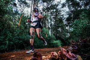 BIB: 
                            <button type="button" onclick="openModal(25880075)" class="btn btn-primary btn-sm float-right btn-popup" data-toggle="modal" data-target=".modal-high-quality">
                        <i class="fas fa-shopping-cart"></i> Add to Cart
                    </button>
                                            <button type="button" onclick="isThisMe(25880075, true)" class="btn btn-success btn-sm float-right btn-popup btn-isme hidden" data-toggle="tooltip" data-placement="bottom" title="นี่คือรูปของคุณใช่ไหม คลิกที่นี่เพื่อเอาเข้าอัลบั้ม">
                        <i class="fas fa-plus"></i> Add to album
                    </button>
                    <button type="button" onclick="isThisMe(25880075, false)" class="btn btn-warning btn-sm float-right btn-popup btn-isnotme hidden">
                        <i class="fas fa-ban"></i> Remove from album
                    </button>