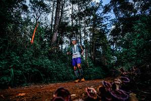 BIB: 
                            <button type="button" onclick="openModal(25880742)" class="btn btn-primary btn-sm float-right btn-popup" data-toggle="modal" data-target=".modal-high-quality">
                        <i class="fas fa-shopping-cart"></i> Add to Cart
                    </button>
                                            <button type="button" onclick="isThisMe(25880742, true)" class="btn btn-success btn-sm float-right btn-popup btn-isme hidden" data-toggle="tooltip" data-placement="bottom" title="นี่คือรูปของคุณใช่ไหม คลิกที่นี่เพื่อเอาเข้าอัลบั้ม">
                        <i class="fas fa-plus"></i> Add to album
                    </button>
                    <button type="button" onclick="isThisMe(25880742, false)" class="btn btn-warning btn-sm float-right btn-popup btn-isnotme hidden">
                        <i class="fas fa-ban"></i> Remove from album
                    </button>