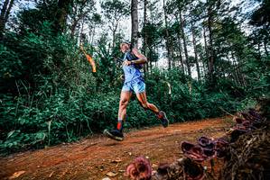 BIB: 
                            <button type="button" onclick="openModal(25877947)" class="btn btn-primary btn-sm float-right btn-popup" data-toggle="modal" data-target=".modal-high-quality">
                        <i class="fas fa-shopping-cart"></i> Add to Cart
                    </button>
                                            <button type="button" onclick="isThisMe(25877947, true)" class="btn btn-success btn-sm float-right btn-popup btn-isme hidden" data-toggle="tooltip" data-placement="bottom" title="นี่คือรูปของคุณใช่ไหม คลิกที่นี่เพื่อเอาเข้าอัลบั้ม">
                        <i class="fas fa-plus"></i> Add to album
                    </button>
                    <button type="button" onclick="isThisMe(25877947, false)" class="btn btn-warning btn-sm float-right btn-popup btn-isnotme hidden">
                        <i class="fas fa-ban"></i> Remove from album
                    </button>