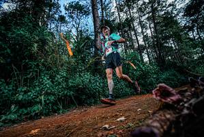 BIB: 
                            <button type="button" onclick="openModal(25878232)" class="btn btn-primary btn-sm float-right btn-popup" data-toggle="modal" data-target=".modal-high-quality">
                        <i class="fas fa-shopping-cart"></i> Add to Cart
                    </button>
                                            <button type="button" onclick="isThisMe(25878232, true)" class="btn btn-success btn-sm float-right btn-popup btn-isme hidden" data-toggle="tooltip" data-placement="bottom" title="นี่คือรูปของคุณใช่ไหม คลิกที่นี่เพื่อเอาเข้าอัลบั้ม">
                        <i class="fas fa-plus"></i> Add to album
                    </button>
                    <button type="button" onclick="isThisMe(25878232, false)" class="btn btn-warning btn-sm float-right btn-popup btn-isnotme hidden">
                        <i class="fas fa-ban"></i> Remove from album
                    </button>