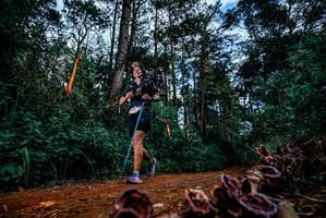 BIB: 
                            <button type="button" onclick="openModal(25880837)" class="btn btn-primary btn-sm float-right btn-popup" data-toggle="modal" data-target=".modal-high-quality">
                        <i class="fas fa-shopping-cart"></i> Add to Cart
                    </button>
                                            <button type="button" onclick="isThisMe(25880837, true)" class="btn btn-success btn-sm float-right btn-popup btn-isme hidden" data-toggle="tooltip" data-placement="bottom" title="นี่คือรูปของคุณใช่ไหม คลิกที่นี่เพื่อเอาเข้าอัลบั้ม">
                        <i class="fas fa-plus"></i> Add to album
                    </button>
                    <button type="button" onclick="isThisMe(25880837, false)" class="btn btn-warning btn-sm float-right btn-popup btn-isnotme hidden">
                        <i class="fas fa-ban"></i> Remove from album
                    </button>