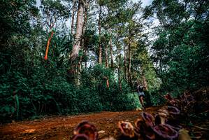 BIB: 
                            <button type="button" onclick="openModal(25880532)" class="btn btn-primary btn-sm float-right btn-popup" data-toggle="modal" data-target=".modal-high-quality">
                        <i class="fas fa-shopping-cart"></i> Add to Cart
                    </button>
                                            <button type="button" onclick="isThisMe(25880532, true)" class="btn btn-success btn-sm float-right btn-popup btn-isme hidden" data-toggle="tooltip" data-placement="bottom" title="นี่คือรูปของคุณใช่ไหม คลิกที่นี่เพื่อเอาเข้าอัลบั้ม">
                        <i class="fas fa-plus"></i> Add to album
                    </button>
                    <button type="button" onclick="isThisMe(25880532, false)" class="btn btn-warning btn-sm float-right btn-popup btn-isnotme hidden">
                        <i class="fas fa-ban"></i> Remove from album
                    </button>