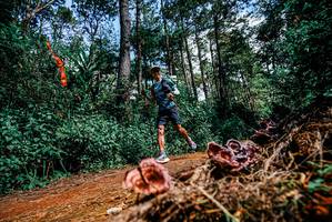 BIB: 
                            <button type="button" onclick="openModal(25878131)" class="btn btn-primary btn-sm float-right btn-popup" data-toggle="modal" data-target=".modal-high-quality">
                        <i class="fas fa-shopping-cart"></i> Add to Cart
                    </button>
                                            <button type="button" onclick="isThisMe(25878131, true)" class="btn btn-success btn-sm float-right btn-popup btn-isme hidden" data-toggle="tooltip" data-placement="bottom" title="นี่คือรูปของคุณใช่ไหม คลิกที่นี่เพื่อเอาเข้าอัลบั้ม">
                        <i class="fas fa-plus"></i> Add to album
                    </button>
                    <button type="button" onclick="isThisMe(25878131, false)" class="btn btn-warning btn-sm float-right btn-popup btn-isnotme hidden">
                        <i class="fas fa-ban"></i> Remove from album
                    </button>