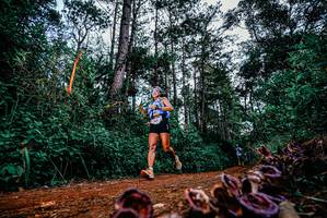 BIB: 
                            <button type="button" onclick="openModal(25879067)" class="btn btn-primary btn-sm float-right btn-popup" data-toggle="modal" data-target=".modal-high-quality">
                        <i class="fas fa-shopping-cart"></i> Add to Cart
                    </button>
                                            <button type="button" onclick="isThisMe(25879067, true)" class="btn btn-success btn-sm float-right btn-popup btn-isme hidden" data-toggle="tooltip" data-placement="bottom" title="นี่คือรูปของคุณใช่ไหม คลิกที่นี่เพื่อเอาเข้าอัลบั้ม">
                        <i class="fas fa-plus"></i> Add to album
                    </button>
                    <button type="button" onclick="isThisMe(25879067, false)" class="btn btn-warning btn-sm float-right btn-popup btn-isnotme hidden">
                        <i class="fas fa-ban"></i> Remove from album
                    </button>