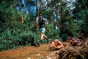 BIB: 
                            <button type="button" onclick="openModal(25878172)" class="btn btn-primary btn-sm float-right btn-popup" data-toggle="modal" data-target=".modal-high-quality">
                        <i class="fas fa-shopping-cart"></i> Add to Cart
                    </button>
                                            <button type="button" onclick="isThisMe(25878172, true)" class="btn btn-success btn-sm float-right btn-popup btn-isme hidden" data-toggle="tooltip" data-placement="bottom" title="นี่คือรูปของคุณใช่ไหม คลิกที่นี่เพื่อเอาเข้าอัลบั้ม">
                        <i class="fas fa-plus"></i> Add to album
                    </button>
                    <button type="button" onclick="isThisMe(25878172, false)" class="btn btn-warning btn-sm float-right btn-popup btn-isnotme hidden">
                        <i class="fas fa-ban"></i> Remove from album
                    </button>