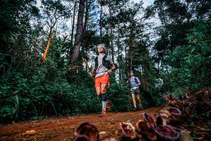 BIB: 
                            <button type="button" onclick="openModal(25881532)" class="btn btn-primary btn-sm float-right btn-popup" data-toggle="modal" data-target=".modal-high-quality">
                        <i class="fas fa-shopping-cart"></i> Add to Cart
                    </button>
                                            <button type="button" onclick="isThisMe(25881532, true)" class="btn btn-success btn-sm float-right btn-popup btn-isme hidden" data-toggle="tooltip" data-placement="bottom" title="นี่คือรูปของคุณใช่ไหม คลิกที่นี่เพื่อเอาเข้าอัลบั้ม">
                        <i class="fas fa-plus"></i> Add to album
                    </button>
                    <button type="button" onclick="isThisMe(25881532, false)" class="btn btn-warning btn-sm float-right btn-popup btn-isnotme hidden">
                        <i class="fas fa-ban"></i> Remove from album
                    </button>