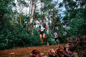 BIB: 
                            <button type="button" onclick="openModal(25879987)" class="btn btn-primary btn-sm float-right btn-popup" data-toggle="modal" data-target=".modal-high-quality">
                        <i class="fas fa-shopping-cart"></i> Add to Cart
                    </button>
                                            <button type="button" onclick="isThisMe(25879987, true)" class="btn btn-success btn-sm float-right btn-popup btn-isme hidden" data-toggle="tooltip" data-placement="bottom" title="นี่คือรูปของคุณใช่ไหม คลิกที่นี่เพื่อเอาเข้าอัลบั้ม">
                        <i class="fas fa-plus"></i> Add to album
                    </button>
                    <button type="button" onclick="isThisMe(25879987, false)" class="btn btn-warning btn-sm float-right btn-popup btn-isnotme hidden">
                        <i class="fas fa-ban"></i> Remove from album
                    </button>