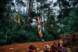 BIB: 
                            <button type="button" onclick="openModal(25881703)" class="btn btn-primary btn-sm float-right btn-popup" data-toggle="modal" data-target=".modal-high-quality">
                        <i class="fas fa-shopping-cart"></i> Add to Cart
                    </button>
                                            <button type="button" onclick="isThisMe(25881703, true)" class="btn btn-success btn-sm float-right btn-popup btn-isme hidden" data-toggle="tooltip" data-placement="bottom" title="นี่คือรูปของคุณใช่ไหม คลิกที่นี่เพื่อเอาเข้าอัลบั้ม">
                        <i class="fas fa-plus"></i> Add to album
                    </button>
                    <button type="button" onclick="isThisMe(25881703, false)" class="btn btn-warning btn-sm float-right btn-popup btn-isnotme hidden">
                        <i class="fas fa-ban"></i> Remove from album
                    </button>