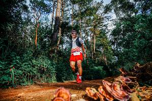 BIB: 
                            <button type="button" onclick="openModal(25882289)" class="btn btn-primary btn-sm float-right btn-popup" data-toggle="modal" data-target=".modal-high-quality">
                        <i class="fas fa-shopping-cart"></i> Add to Cart
                    </button>
                                            <button type="button" onclick="isThisMe(25882289, true)" class="btn btn-success btn-sm float-right btn-popup btn-isme hidden" data-toggle="tooltip" data-placement="bottom" title="นี่คือรูปของคุณใช่ไหม คลิกที่นี่เพื่อเอาเข้าอัลบั้ม">
                        <i class="fas fa-plus"></i> Add to album
                    </button>
                    <button type="button" onclick="isThisMe(25882289, false)" class="btn btn-warning btn-sm float-right btn-popup btn-isnotme hidden">
                        <i class="fas fa-ban"></i> Remove from album
                    </button>