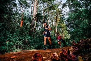 BIB: 
                            <button type="button" onclick="openModal(25881793)" class="btn btn-primary btn-sm float-right btn-popup" data-toggle="modal" data-target=".modal-high-quality">
                        <i class="fas fa-shopping-cart"></i> Add to Cart
                    </button>
                                            <button type="button" onclick="isThisMe(25881793, true)" class="btn btn-success btn-sm float-right btn-popup btn-isme hidden" data-toggle="tooltip" data-placement="bottom" title="นี่คือรูปของคุณใช่ไหม คลิกที่นี่เพื่อเอาเข้าอัลบั้ม">
                        <i class="fas fa-plus"></i> Add to album
                    </button>
                    <button type="button" onclick="isThisMe(25881793, false)" class="btn btn-warning btn-sm float-right btn-popup btn-isnotme hidden">
                        <i class="fas fa-ban"></i> Remove from album
                    </button>