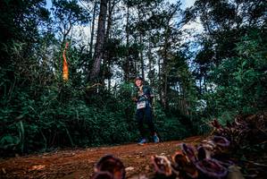 BIB: 
                            <button type="button" onclick="openModal(25881002)" class="btn btn-primary btn-sm float-right btn-popup" data-toggle="modal" data-target=".modal-high-quality">
                        <i class="fas fa-shopping-cart"></i> Add to Cart
                    </button>
                                            <button type="button" onclick="isThisMe(25881002, true)" class="btn btn-success btn-sm float-right btn-popup btn-isme hidden" data-toggle="tooltip" data-placement="bottom" title="นี่คือรูปของคุณใช่ไหม คลิกที่นี่เพื่อเอาเข้าอัลบั้ม">
                        <i class="fas fa-plus"></i> Add to album
                    </button>
                    <button type="button" onclick="isThisMe(25881002, false)" class="btn btn-warning btn-sm float-right btn-popup btn-isnotme hidden">
                        <i class="fas fa-ban"></i> Remove from album
                    </button>