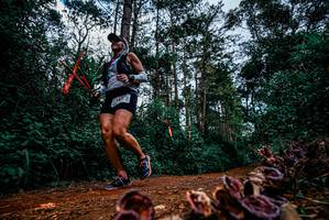 BIB: 
                            <button type="button" onclick="openModal(25881470)" class="btn btn-primary btn-sm float-right btn-popup" data-toggle="modal" data-target=".modal-high-quality">
                        <i class="fas fa-shopping-cart"></i> Add to Cart
                    </button>
                                            <button type="button" onclick="isThisMe(25881470, true)" class="btn btn-success btn-sm float-right btn-popup btn-isme hidden" data-toggle="tooltip" data-placement="bottom" title="นี่คือรูปของคุณใช่ไหม คลิกที่นี่เพื่อเอาเข้าอัลบั้ม">
                        <i class="fas fa-plus"></i> Add to album
                    </button>
                    <button type="button" onclick="isThisMe(25881470, false)" class="btn btn-warning btn-sm float-right btn-popup btn-isnotme hidden">
                        <i class="fas fa-ban"></i> Remove from album
                    </button>