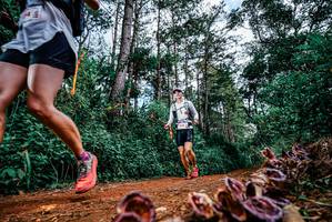 BIB: 
                            <button type="button" onclick="openModal(25880499)" class="btn btn-primary btn-sm float-right btn-popup" data-toggle="modal" data-target=".modal-high-quality">
                        <i class="fas fa-shopping-cart"></i> Add to Cart
                    </button>
                                            <button type="button" onclick="isThisMe(25880499, true)" class="btn btn-success btn-sm float-right btn-popup btn-isme hidden" data-toggle="tooltip" data-placement="bottom" title="นี่คือรูปของคุณใช่ไหม คลิกที่นี่เพื่อเอาเข้าอัลบั้ม">
                        <i class="fas fa-plus"></i> Add to album
                    </button>
                    <button type="button" onclick="isThisMe(25880499, false)" class="btn btn-warning btn-sm float-right btn-popup btn-isnotme hidden">
                        <i class="fas fa-ban"></i> Remove from album
                    </button>