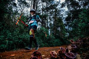 BIB: 
                            <button type="button" onclick="openModal(25880879)" class="btn btn-primary btn-sm float-right btn-popup" data-toggle="modal" data-target=".modal-high-quality">
                        <i class="fas fa-shopping-cart"></i> Add to Cart
                    </button>
                                            <button type="button" onclick="isThisMe(25880879, true)" class="btn btn-success btn-sm float-right btn-popup btn-isme hidden" data-toggle="tooltip" data-placement="bottom" title="นี่คือรูปของคุณใช่ไหม คลิกที่นี่เพื่อเอาเข้าอัลบั้ม">
                        <i class="fas fa-plus"></i> Add to album
                    </button>
                    <button type="button" onclick="isThisMe(25880879, false)" class="btn btn-warning btn-sm float-right btn-popup btn-isnotme hidden">
                        <i class="fas fa-ban"></i> Remove from album
                    </button>