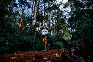 BIB: 
                            <button type="button" onclick="openModal(25880254)" class="btn btn-primary btn-sm float-right btn-popup" data-toggle="modal" data-target=".modal-high-quality">
                        <i class="fas fa-shopping-cart"></i> Add to Cart
                    </button>
                                            <button type="button" onclick="isThisMe(25880254, true)" class="btn btn-success btn-sm float-right btn-popup btn-isme hidden" data-toggle="tooltip" data-placement="bottom" title="นี่คือรูปของคุณใช่ไหม คลิกที่นี่เพื่อเอาเข้าอัลบั้ม">
                        <i class="fas fa-plus"></i> Add to album
                    </button>
                    <button type="button" onclick="isThisMe(25880254, false)" class="btn btn-warning btn-sm float-right btn-popup btn-isnotme hidden">
                        <i class="fas fa-ban"></i> Remove from album
                    </button>