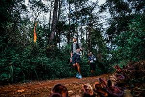 BIB: 
                            <button type="button" onclick="openModal(25881237)" class="btn btn-primary btn-sm float-right btn-popup" data-toggle="modal" data-target=".modal-high-quality">
                        <i class="fas fa-shopping-cart"></i> Add to Cart
                    </button>
                                            <button type="button" onclick="isThisMe(25881237, true)" class="btn btn-success btn-sm float-right btn-popup btn-isme hidden" data-toggle="tooltip" data-placement="bottom" title="นี่คือรูปของคุณใช่ไหม คลิกที่นี่เพื่อเอาเข้าอัลบั้ม">
                        <i class="fas fa-plus"></i> Add to album
                    </button>
                    <button type="button" onclick="isThisMe(25881237, false)" class="btn btn-warning btn-sm float-right btn-popup btn-isnotme hidden">
                        <i class="fas fa-ban"></i> Remove from album
                    </button>