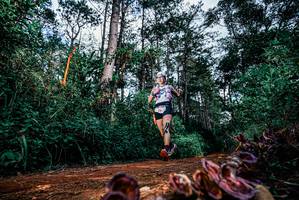 BIB: 
                            <button type="button" onclick="openModal(25880051)" class="btn btn-primary btn-sm float-right btn-popup" data-toggle="modal" data-target=".modal-high-quality">
                        <i class="fas fa-shopping-cart"></i> Add to Cart
                    </button>
                                            <button type="button" onclick="isThisMe(25880051, true)" class="btn btn-success btn-sm float-right btn-popup btn-isme hidden" data-toggle="tooltip" data-placement="bottom" title="นี่คือรูปของคุณใช่ไหม คลิกที่นี่เพื่อเอาเข้าอัลบั้ม">
                        <i class="fas fa-plus"></i> Add to album
                    </button>
                    <button type="button" onclick="isThisMe(25880051, false)" class="btn btn-warning btn-sm float-right btn-popup btn-isnotme hidden">
                        <i class="fas fa-ban"></i> Remove from album
                    </button>