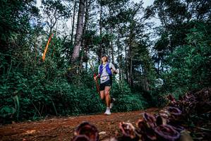 BIB: 
                            <button type="button" onclick="openModal(25879613)" class="btn btn-primary btn-sm float-right btn-popup" data-toggle="modal" data-target=".modal-high-quality">
                        <i class="fas fa-shopping-cart"></i> Add to Cart
                    </button>
                                            <button type="button" onclick="isThisMe(25879613, true)" class="btn btn-success btn-sm float-right btn-popup btn-isme hidden" data-toggle="tooltip" data-placement="bottom" title="นี่คือรูปของคุณใช่ไหม คลิกที่นี่เพื่อเอาเข้าอัลบั้ม">
                        <i class="fas fa-plus"></i> Add to album
                    </button>
                    <button type="button" onclick="isThisMe(25879613, false)" class="btn btn-warning btn-sm float-right btn-popup btn-isnotme hidden">
                        <i class="fas fa-ban"></i> Remove from album
                    </button>