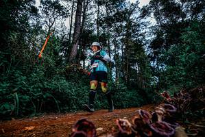 BIB: 
                            <button type="button" onclick="openModal(25880871)" class="btn btn-primary btn-sm float-right btn-popup" data-toggle="modal" data-target=".modal-high-quality">
                        <i class="fas fa-shopping-cart"></i> Add to Cart
                    </button>
                                            <button type="button" onclick="isThisMe(25880871, true)" class="btn btn-success btn-sm float-right btn-popup btn-isme hidden" data-toggle="tooltip" data-placement="bottom" title="นี่คือรูปของคุณใช่ไหม คลิกที่นี่เพื่อเอาเข้าอัลบั้ม">
                        <i class="fas fa-plus"></i> Add to album
                    </button>
                    <button type="button" onclick="isThisMe(25880871, false)" class="btn btn-warning btn-sm float-right btn-popup btn-isnotme hidden">
                        <i class="fas fa-ban"></i> Remove from album
                    </button>