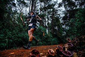 BIB: 
                            <button type="button" onclick="openModal(25879841)" class="btn btn-primary btn-sm float-right btn-popup" data-toggle="modal" data-target=".modal-high-quality">
                        <i class="fas fa-shopping-cart"></i> Add to Cart
                    </button>
                                            <button type="button" onclick="isThisMe(25879841, true)" class="btn btn-success btn-sm float-right btn-popup btn-isme hidden" data-toggle="tooltip" data-placement="bottom" title="นี่คือรูปของคุณใช่ไหม คลิกที่นี่เพื่อเอาเข้าอัลบั้ม">
                        <i class="fas fa-plus"></i> Add to album
                    </button>
                    <button type="button" onclick="isThisMe(25879841, false)" class="btn btn-warning btn-sm float-right btn-popup btn-isnotme hidden">
                        <i class="fas fa-ban"></i> Remove from album
                    </button>