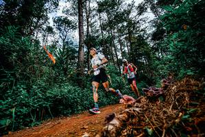 BIB: 
                            <button type="button" onclick="openModal(25877898)" class="btn btn-primary btn-sm float-right btn-popup" data-toggle="modal" data-target=".modal-high-quality">
                        <i class="fas fa-shopping-cart"></i> Add to Cart
                    </button>
                                            <button type="button" onclick="isThisMe(25877898, true)" class="btn btn-success btn-sm float-right btn-popup btn-isme hidden" data-toggle="tooltip" data-placement="bottom" title="นี่คือรูปของคุณใช่ไหม คลิกที่นี่เพื่อเอาเข้าอัลบั้ม">
                        <i class="fas fa-plus"></i> Add to album
                    </button>
                    <button type="button" onclick="isThisMe(25877898, false)" class="btn btn-warning btn-sm float-right btn-popup btn-isnotme hidden">
                        <i class="fas fa-ban"></i> Remove from album
                    </button>