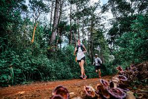 BIB: 
                            <button type="button" onclick="openModal(25880488)" class="btn btn-primary btn-sm float-right btn-popup" data-toggle="modal" data-target=".modal-high-quality">
                        <i class="fas fa-shopping-cart"></i> Add to Cart
                    </button>
                                            <button type="button" onclick="isThisMe(25880488, true)" class="btn btn-success btn-sm float-right btn-popup btn-isme hidden" data-toggle="tooltip" data-placement="bottom" title="นี่คือรูปของคุณใช่ไหม คลิกที่นี่เพื่อเอาเข้าอัลบั้ม">
                        <i class="fas fa-plus"></i> Add to album
                    </button>
                    <button type="button" onclick="isThisMe(25880488, false)" class="btn btn-warning btn-sm float-right btn-popup btn-isnotme hidden">
                        <i class="fas fa-ban"></i> Remove from album
                    </button>