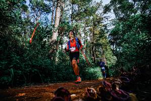 BIB: 
                            <button type="button" onclick="openModal(25880168)" class="btn btn-primary btn-sm float-right btn-popup" data-toggle="modal" data-target=".modal-high-quality">
                        <i class="fas fa-shopping-cart"></i> Add to Cart
                    </button>
                                            <button type="button" onclick="isThisMe(25880168, true)" class="btn btn-success btn-sm float-right btn-popup btn-isme hidden" data-toggle="tooltip" data-placement="bottom" title="นี่คือรูปของคุณใช่ไหม คลิกที่นี่เพื่อเอาเข้าอัลบั้ม">
                        <i class="fas fa-plus"></i> Add to album
                    </button>
                    <button type="button" onclick="isThisMe(25880168, false)" class="btn btn-warning btn-sm float-right btn-popup btn-isnotme hidden">
                        <i class="fas fa-ban"></i> Remove from album
                    </button>