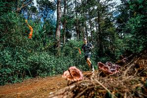 BIB: 
                            <button type="button" onclick="openModal(25878058)" class="btn btn-primary btn-sm float-right btn-popup" data-toggle="modal" data-target=".modal-high-quality">
                        <i class="fas fa-shopping-cart"></i> Add to Cart
                    </button>
                                            <button type="button" onclick="isThisMe(25878058, true)" class="btn btn-success btn-sm float-right btn-popup btn-isme hidden" data-toggle="tooltip" data-placement="bottom" title="นี่คือรูปของคุณใช่ไหม คลิกที่นี่เพื่อเอาเข้าอัลบั้ม">
                        <i class="fas fa-plus"></i> Add to album
                    </button>
                    <button type="button" onclick="isThisMe(25878058, false)" class="btn btn-warning btn-sm float-right btn-popup btn-isnotme hidden">
                        <i class="fas fa-ban"></i> Remove from album
                    </button>