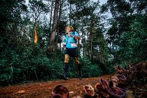 BIB: 
                            <button type="button" onclick="openModal(25881366)" class="btn btn-primary btn-sm float-right btn-popup" data-toggle="modal" data-target=".modal-high-quality">
                        <i class="fas fa-shopping-cart"></i> Add to Cart
                    </button>
                                            <button type="button" onclick="isThisMe(25881366, true)" class="btn btn-success btn-sm float-right btn-popup btn-isme hidden" data-toggle="tooltip" data-placement="bottom" title="นี่คือรูปของคุณใช่ไหม คลิกที่นี่เพื่อเอาเข้าอัลบั้ม">
                        <i class="fas fa-plus"></i> Add to album
                    </button>
                    <button type="button" onclick="isThisMe(25881366, false)" class="btn btn-warning btn-sm float-right btn-popup btn-isnotme hidden">
                        <i class="fas fa-ban"></i> Remove from album
                    </button>