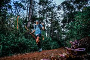 BIB: 
                            <button type="button" onclick="openModal(25878650)" class="btn btn-primary btn-sm float-right btn-popup" data-toggle="modal" data-target=".modal-high-quality">
                        <i class="fas fa-shopping-cart"></i> Add to Cart
                    </button>
                                            <button type="button" onclick="isThisMe(25878650, true)" class="btn btn-success btn-sm float-right btn-popup btn-isme hidden" data-toggle="tooltip" data-placement="bottom" title="นี่คือรูปของคุณใช่ไหม คลิกที่นี่เพื่อเอาเข้าอัลบั้ม">
                        <i class="fas fa-plus"></i> Add to album
                    </button>
                    <button type="button" onclick="isThisMe(25878650, false)" class="btn btn-warning btn-sm float-right btn-popup btn-isnotme hidden">
                        <i class="fas fa-ban"></i> Remove from album
                    </button>