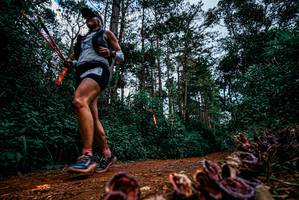 BIB: 
                            <button type="button" onclick="openModal(25881474)" class="btn btn-primary btn-sm float-right btn-popup" data-toggle="modal" data-target=".modal-high-quality">
                        <i class="fas fa-shopping-cart"></i> Add to Cart
                    </button>
                                            <button type="button" onclick="isThisMe(25881474, true)" class="btn btn-success btn-sm float-right btn-popup btn-isme hidden" data-toggle="tooltip" data-placement="bottom" title="นี่คือรูปของคุณใช่ไหม คลิกที่นี่เพื่อเอาเข้าอัลบั้ม">
                        <i class="fas fa-plus"></i> Add to album
                    </button>
                    <button type="button" onclick="isThisMe(25881474, false)" class="btn btn-warning btn-sm float-right btn-popup btn-isnotme hidden">
                        <i class="fas fa-ban"></i> Remove from album
                    </button>