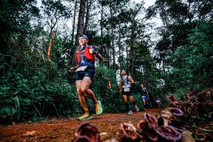 BIB: 
                            <button type="button" onclick="openModal(25879889)" class="btn btn-primary btn-sm float-right btn-popup" data-toggle="modal" data-target=".modal-high-quality">
                        <i class="fas fa-shopping-cart"></i> Add to Cart
                    </button>
                                            <button type="button" onclick="isThisMe(25879889, true)" class="btn btn-success btn-sm float-right btn-popup btn-isme hidden" data-toggle="tooltip" data-placement="bottom" title="นี่คือรูปของคุณใช่ไหม คลิกที่นี่เพื่อเอาเข้าอัลบั้ม">
                        <i class="fas fa-plus"></i> Add to album
                    </button>
                    <button type="button" onclick="isThisMe(25879889, false)" class="btn btn-warning btn-sm float-right btn-popup btn-isnotme hidden">
                        <i class="fas fa-ban"></i> Remove from album
                    </button>