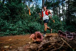 BIB: 
                            <button type="button" onclick="openModal(25878264)" class="btn btn-primary btn-sm float-right btn-popup" data-toggle="modal" data-target=".modal-high-quality">
                        <i class="fas fa-shopping-cart"></i> Add to Cart
                    </button>
                                            <button type="button" onclick="isThisMe(25878264, true)" class="btn btn-success btn-sm float-right btn-popup btn-isme hidden" data-toggle="tooltip" data-placement="bottom" title="นี่คือรูปของคุณใช่ไหม คลิกที่นี่เพื่อเอาเข้าอัลบั้ม">
                        <i class="fas fa-plus"></i> Add to album
                    </button>
                    <button type="button" onclick="isThisMe(25878264, false)" class="btn btn-warning btn-sm float-right btn-popup btn-isnotme hidden">
                        <i class="fas fa-ban"></i> Remove from album
                    </button>