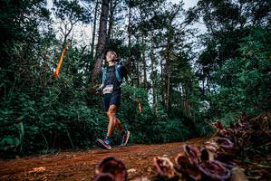 BIB: 
                            <button type="button" onclick="openModal(25881501)" class="btn btn-primary btn-sm float-right btn-popup" data-toggle="modal" data-target=".modal-high-quality">
                        <i class="fas fa-shopping-cart"></i> Add to Cart
                    </button>
                                            <button type="button" onclick="isThisMe(25881501, true)" class="btn btn-success btn-sm float-right btn-popup btn-isme hidden" data-toggle="tooltip" data-placement="bottom" title="นี่คือรูปของคุณใช่ไหม คลิกที่นี่เพื่อเอาเข้าอัลบั้ม">
                        <i class="fas fa-plus"></i> Add to album
                    </button>
                    <button type="button" onclick="isThisMe(25881501, false)" class="btn btn-warning btn-sm float-right btn-popup btn-isnotme hidden">
                        <i class="fas fa-ban"></i> Remove from album
                    </button>