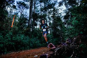 BIB: 
                            <button type="button" onclick="openModal(25878504)" class="btn btn-primary btn-sm float-right btn-popup" data-toggle="modal" data-target=".modal-high-quality">
                        <i class="fas fa-shopping-cart"></i> Add to Cart
                    </button>
                                            <button type="button" onclick="isThisMe(25878504, true)" class="btn btn-success btn-sm float-right btn-popup btn-isme hidden" data-toggle="tooltip" data-placement="bottom" title="นี่คือรูปของคุณใช่ไหม คลิกที่นี่เพื่อเอาเข้าอัลบั้ม">
                        <i class="fas fa-plus"></i> Add to album
                    </button>
                    <button type="button" onclick="isThisMe(25878504, false)" class="btn btn-warning btn-sm float-right btn-popup btn-isnotme hidden">
                        <i class="fas fa-ban"></i> Remove from album
                    </button>