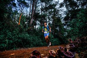 BIB: 
                            <button type="button" onclick="openModal(25879684)" class="btn btn-primary btn-sm float-right btn-popup" data-toggle="modal" data-target=".modal-high-quality">
                        <i class="fas fa-shopping-cart"></i> Add to Cart
                    </button>
                                            <button type="button" onclick="isThisMe(25879684, true)" class="btn btn-success btn-sm float-right btn-popup btn-isme hidden" data-toggle="tooltip" data-placement="bottom" title="นี่คือรูปของคุณใช่ไหม คลิกที่นี่เพื่อเอาเข้าอัลบั้ม">
                        <i class="fas fa-plus"></i> Add to album
                    </button>
                    <button type="button" onclick="isThisMe(25879684, false)" class="btn btn-warning btn-sm float-right btn-popup btn-isnotme hidden">
                        <i class="fas fa-ban"></i> Remove from album
                    </button>