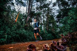 BIB: 
                            <button type="button" onclick="openModal(25881498)" class="btn btn-primary btn-sm float-right btn-popup" data-toggle="modal" data-target=".modal-high-quality">
                        <i class="fas fa-shopping-cart"></i> Add to Cart
                    </button>
                                            <button type="button" onclick="isThisMe(25881498, true)" class="btn btn-success btn-sm float-right btn-popup btn-isme hidden" data-toggle="tooltip" data-placement="bottom" title="นี่คือรูปของคุณใช่ไหม คลิกที่นี่เพื่อเอาเข้าอัลบั้ม">
                        <i class="fas fa-plus"></i> Add to album
                    </button>
                    <button type="button" onclick="isThisMe(25881498, false)" class="btn btn-warning btn-sm float-right btn-popup btn-isnotme hidden">
                        <i class="fas fa-ban"></i> Remove from album
                    </button>