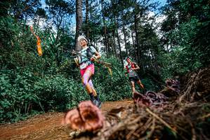 BIB: 
                            <button type="button" onclick="openModal(25878248)" class="btn btn-primary btn-sm float-right btn-popup" data-toggle="modal" data-target=".modal-high-quality">
                        <i class="fas fa-shopping-cart"></i> Add to Cart
                    </button>
                                            <button type="button" onclick="isThisMe(25878248, true)" class="btn btn-success btn-sm float-right btn-popup btn-isme hidden" data-toggle="tooltip" data-placement="bottom" title="นี่คือรูปของคุณใช่ไหม คลิกที่นี่เพื่อเอาเข้าอัลบั้ม">
                        <i class="fas fa-plus"></i> Add to album
                    </button>
                    <button type="button" onclick="isThisMe(25878248, false)" class="btn btn-warning btn-sm float-right btn-popup btn-isnotme hidden">
                        <i class="fas fa-ban"></i> Remove from album
                    </button>