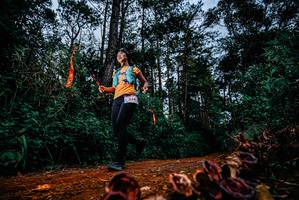 BIB: 
                            <button type="button" onclick="openModal(25881962)" class="btn btn-primary btn-sm float-right btn-popup" data-toggle="modal" data-target=".modal-high-quality">
                        <i class="fas fa-shopping-cart"></i> Add to Cart
                    </button>
                                            <button type="button" onclick="isThisMe(25881962, true)" class="btn btn-success btn-sm float-right btn-popup btn-isme hidden" data-toggle="tooltip" data-placement="bottom" title="นี่คือรูปของคุณใช่ไหม คลิกที่นี่เพื่อเอาเข้าอัลบั้ม">
                        <i class="fas fa-plus"></i> Add to album
                    </button>
                    <button type="button" onclick="isThisMe(25881962, false)" class="btn btn-warning btn-sm float-right btn-popup btn-isnotme hidden">
                        <i class="fas fa-ban"></i> Remove from album
                    </button>