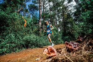 BIB: 
                            <button type="button" onclick="openModal(25878039)" class="btn btn-primary btn-sm float-right btn-popup" data-toggle="modal" data-target=".modal-high-quality">
                        <i class="fas fa-shopping-cart"></i> Add to Cart
                    </button>
                                            <button type="button" onclick="isThisMe(25878039, true)" class="btn btn-success btn-sm float-right btn-popup btn-isme hidden" data-toggle="tooltip" data-placement="bottom" title="นี่คือรูปของคุณใช่ไหม คลิกที่นี่เพื่อเอาเข้าอัลบั้ม">
                        <i class="fas fa-plus"></i> Add to album
                    </button>
                    <button type="button" onclick="isThisMe(25878039, false)" class="btn btn-warning btn-sm float-right btn-popup btn-isnotme hidden">
                        <i class="fas fa-ban"></i> Remove from album
                    </button>