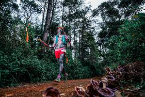 BIB: 
                            <button type="button" onclick="openModal(25878885)" class="btn btn-primary btn-sm float-right btn-popup" data-toggle="modal" data-target=".modal-high-quality">
                        <i class="fas fa-shopping-cart"></i> Add to Cart
                    </button>
                                            <button type="button" onclick="isThisMe(25878885, true)" class="btn btn-success btn-sm float-right btn-popup btn-isme hidden" data-toggle="tooltip" data-placement="bottom" title="นี่คือรูปของคุณใช่ไหม คลิกที่นี่เพื่อเอาเข้าอัลบั้ม">
                        <i class="fas fa-plus"></i> Add to album
                    </button>
                    <button type="button" onclick="isThisMe(25878885, false)" class="btn btn-warning btn-sm float-right btn-popup btn-isnotme hidden">
                        <i class="fas fa-ban"></i> Remove from album
                    </button>